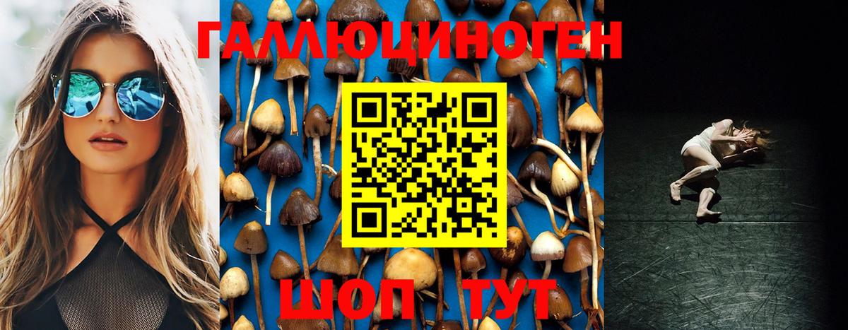 Видное  Галлюциногенные грибы мухоморы  закладки  Вход с VPN 